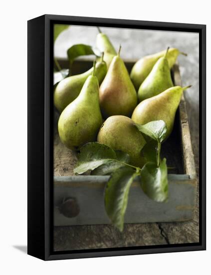 Pears in a Drawer-Clive Streeter-Framed Stretched Canvas