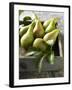 Pears in a Drawer-Clive Streeter-Framed Photographic Print