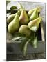 Pears in a Drawer-Clive Streeter-Mounted Photographic Print