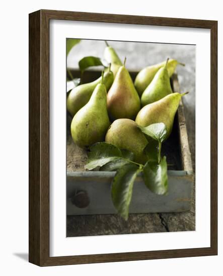 Pears in a Drawer-Clive Streeter-Framed Photographic Print