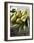 Pears in a Drawer-Clive Streeter-Framed Photographic Print