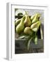 Pears in a Drawer-Clive Streeter-Framed Photographic Print