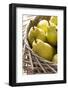 Pears, Ripe, Harvest, Basket-Nikky Maier-Framed Photographic Print