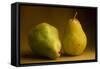 Pears Two-null-Framed Stretched Canvas