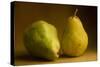 Pears Two-null-Stretched Canvas