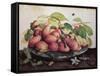 Pears with Hawthorns-Giovanna Garzoni-Framed Stretched Canvas