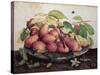 Pears with Hawthorns-Giovanna Garzoni-Stretched Canvas