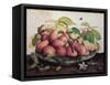 Pears with Hawthorns-Giovanna Garzoni-Framed Stretched Canvas