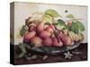 Pears with Hawthorns-Giovanna Garzoni-Stretched Canvas