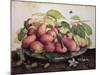 Pears with Hawthorns-Giovanna Garzoni-Mounted Giclee Print