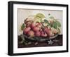 Pears with Hawthorns-Giovanna Garzoni-Framed Giclee Print