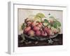 Pears with Hawthorns-Giovanna Garzoni-Framed Giclee Print