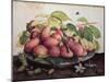 Pears with Hawthorns-Giovanna Garzoni-Mounted Giclee Print