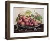 Pears with Hawthorns-Giovanna Garzoni-Framed Giclee Print