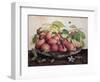 Pears with Hawthorns-Giovanna Garzoni-Framed Giclee Print