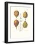 Pears-null-Framed Art Print