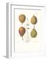 Pears-null-Framed Art Print