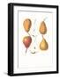 Pears-null-Framed Art Print