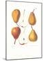 Pears-null-Mounted Art Print