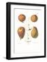 Pears-null-Framed Art Print