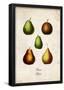 Pears-null-Framed Poster