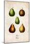 Pears-null-Mounted Poster