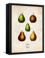 Pears-null-Framed Stretched Canvas