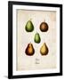 Pears-null-Framed Art Print