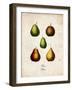 Pears-null-Framed Art Print