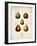 Pears-null-Framed Art Print