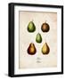 Pears-null-Framed Art Print