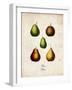 Pears-null-Framed Art Print