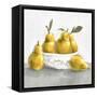 Pears-Isabelle Z-Framed Stretched Canvas