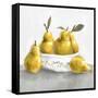 Pears-Isabelle Z-Framed Stretched Canvas