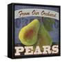 Pears-Fiona Stokes-Gilbert-Framed Stretched Canvas