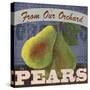 Pears-Fiona Stokes-Gilbert-Stretched Canvas