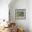 Pears-Fiona Stokes-Gilbert-Framed Giclee Print displayed on a wall