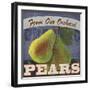 Pears-Fiona Stokes-Gilbert-Framed Giclee Print