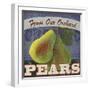 Pears-Fiona Stokes-Gilbert-Framed Giclee Print