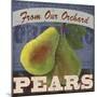 Pears-Fiona Stokes-Gilbert-Mounted Giclee Print