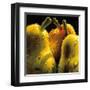 Pears-null-Framed Art Print