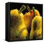 Pears-null-Framed Stretched Canvas