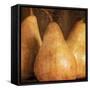 Pears-Caroline Kelly-Framed Stretched Canvas