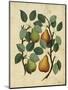 Pears-Susan Ball-Mounted Art Print
