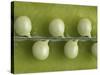 Peas in a Pod-Rogge & Jankovic-Stretched Canvas