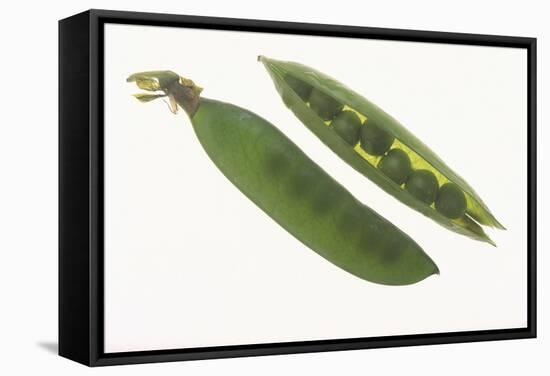 Peas in a Pod-DLILLC-Framed Stretched Canvas