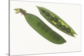 Peas in a Pod-DLILLC-Stretched Canvas