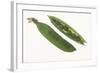 Peas in a Pod-DLILLC-Framed Photographic Print