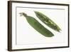 Peas in a Pod-DLILLC-Framed Photographic Print