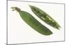 Peas in a Pod-DLILLC-Mounted Photographic Print